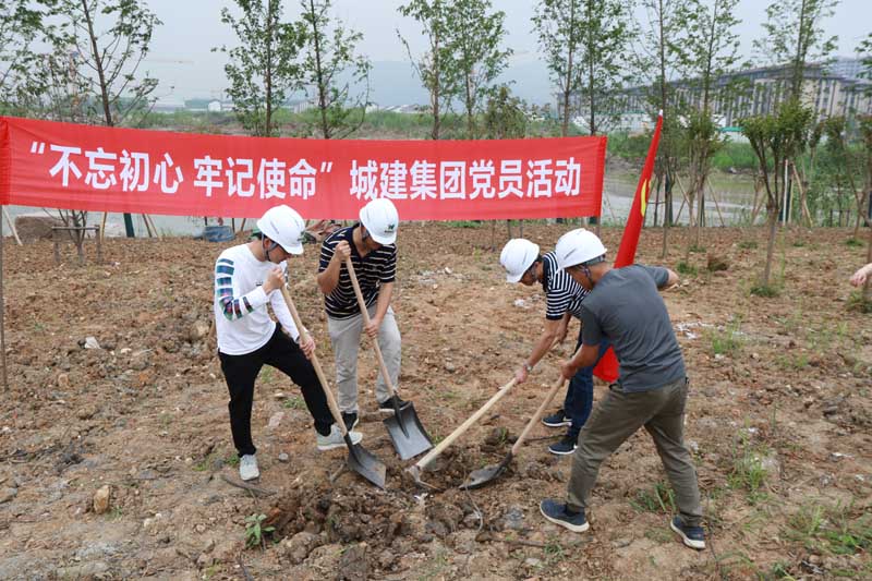 “不忘初心，牢記使命”為奧體添綠——城建集團開展主題黨日活動